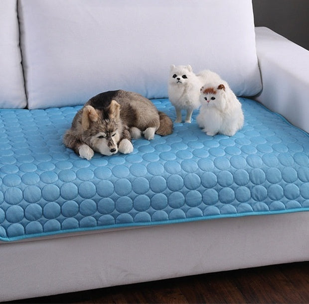 Blue cooling mat on a sofa with a husky and two cats